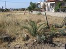 Parcel 250sqm for sale-Acharnes