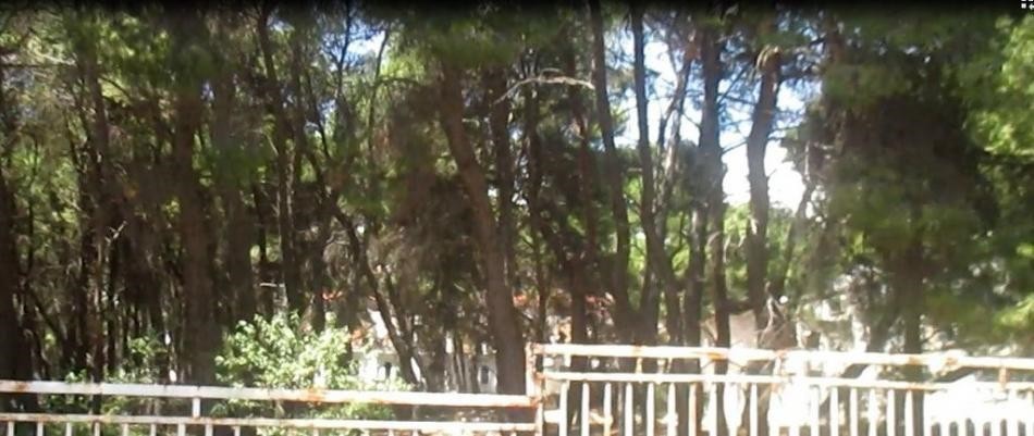 Οικόπεδο 4.720 τ.μ. προς πώληση, Βαρυμπόμπη