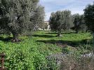 Land plot 7.200sqm for sale-Marousi