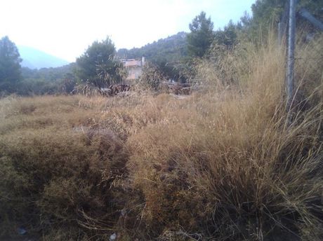 Parcel 2.100 sqm for sale