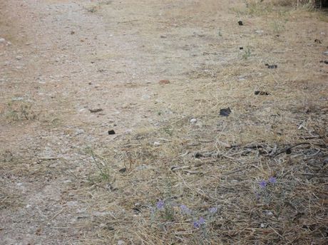 Land plot 1.980 sqm for sale