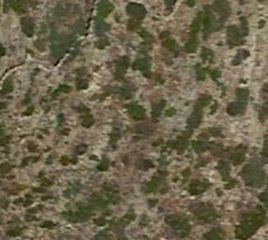 Οικόπεδο 15.000 τ.μ. για πώληση