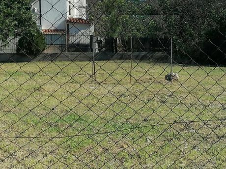 Land plot 650sqm for sale-Lykovrisi