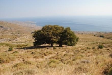 Αγροτεμάχια 800.000 τ.μ. πρός πώληση, Εύβοια, Κάρυστος