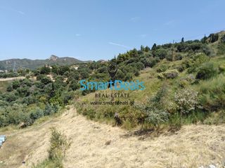 Οικόπεδο 5.202 τ.μ. προς πώληση, Κάτω Καστρίτσι-thumb-6