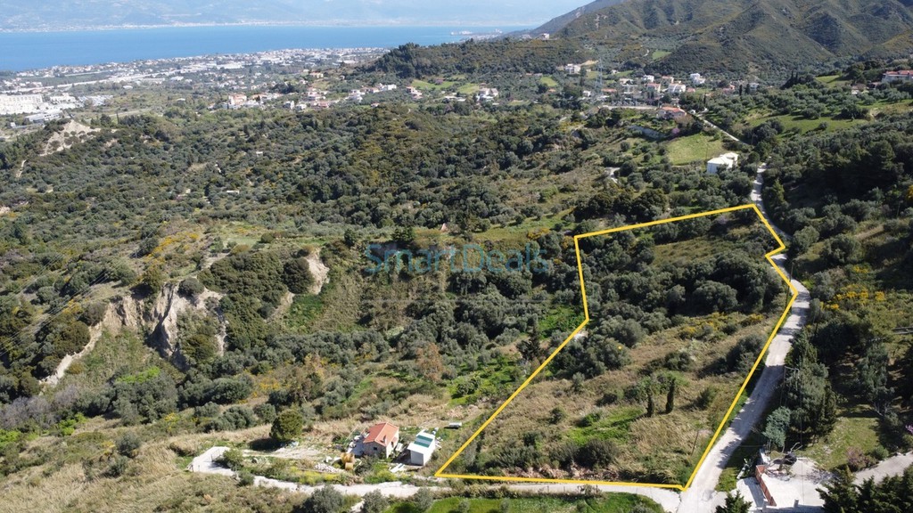 Οικόπεδο 5.202 τ.μ. προς πώληση, Κάτω Καστρίτσι