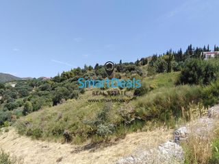 Οικόπεδο 5.202 τ.μ. προς πώληση, Κάτω Καστρίτσι-thumb-7