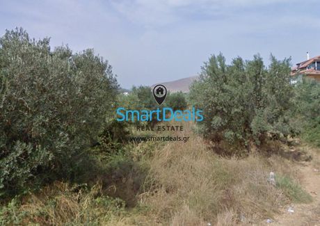 Οικόπεδο 7.000 τ.μ. για πώληση