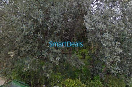 Οικόπεδο 770 τ.μ. προς πώληση