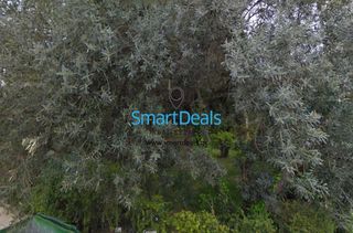 Land plot 770 sqm for sale