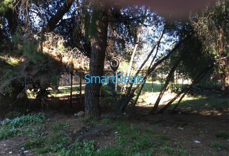 Οικόπεδο 628 τ.μ. προς πώληση