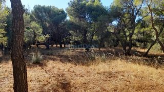 Οικόπεδο 798 τ.μ. για πώληση