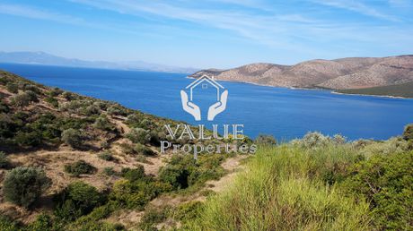 Αγροτεμάχια 4.000τ.μ. για πώληση-Στύρα