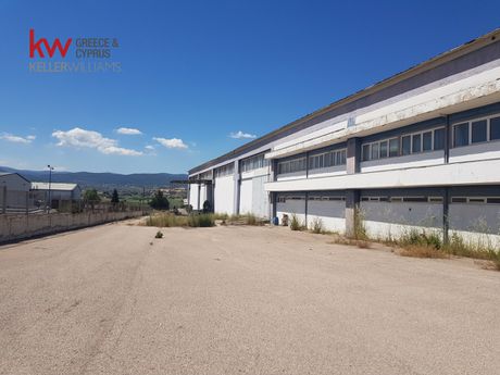 Industrial space 6.000sqm for sale-Inofita