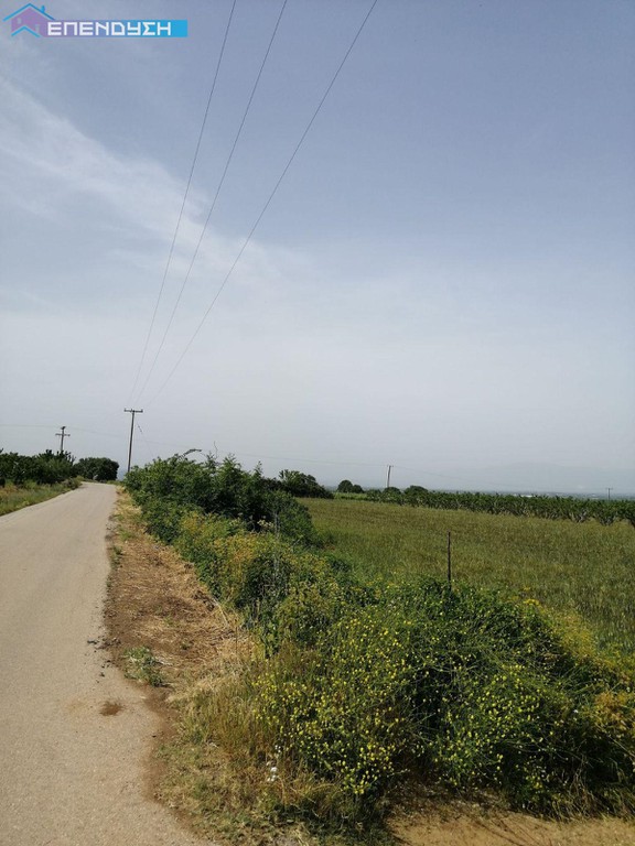 Αγροτεμάχια 3.760 τ.μ. πρός πώληση, Ημαθία, Δοβρά