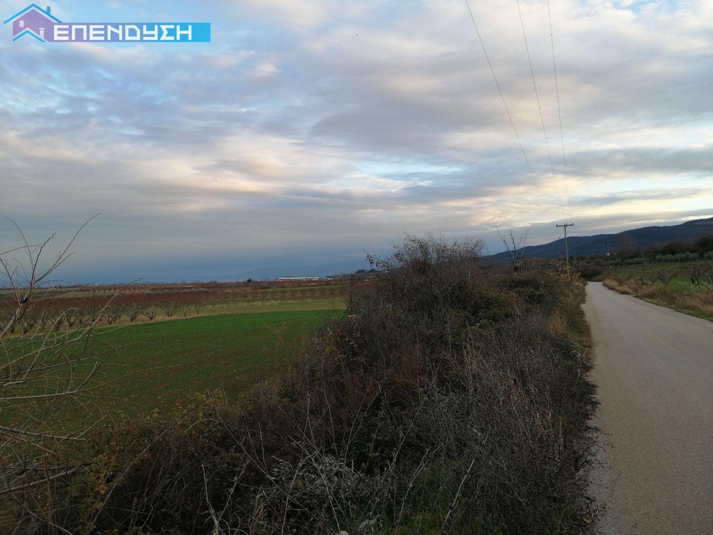 Αγροτεμάχια 3.760 τ.μ. πρός πώληση, Ημαθία, Δοβρά