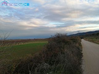 Αγροτεμάχια 3.760 τ.μ. πρός πώληση, Ημαθία, Δοβρά-thumb-3