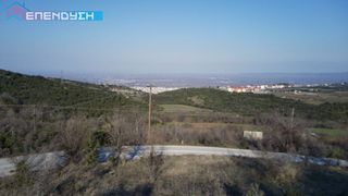 Αγροτεμάχια 2.875 τ.μ. για πώληση
