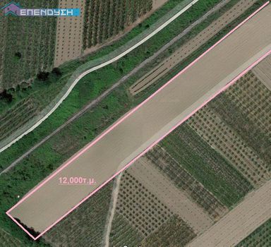 Parcel 12.000sqm for sale-Antigonides