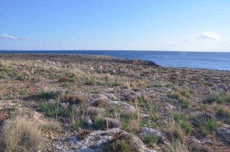 Αγροτεμάχια 22.950 τ.μ. προς πώληση, Καλό Νερό Βουπρασίας