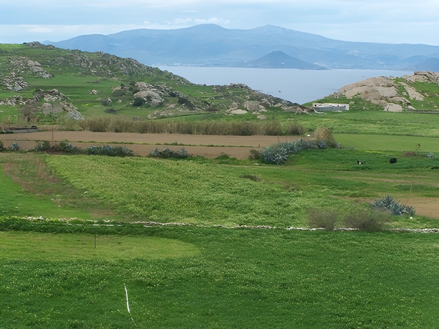 Διαμέρισμα 82 τ.μ. προς πώληση, Χώρα Νάξου