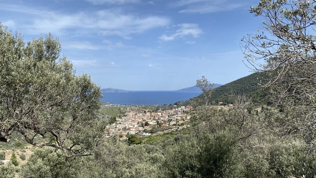Οικόπεδο 27.382,77 τ.μ. προς πώληση, Νέα Επίδαυρος