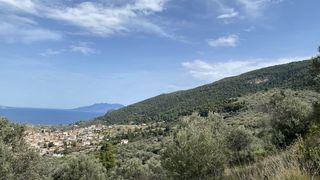 Οικόπεδο 27.382,77 τ.μ. προς πώληση, Νέα Επίδαυρος-thumb-5