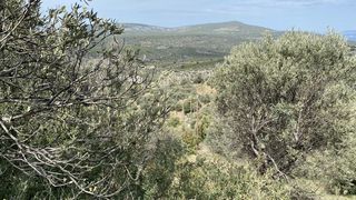 Οικόπεδο 27.382,77 τ.μ. προς πώληση, Νέα Επίδαυρος-thumb-11