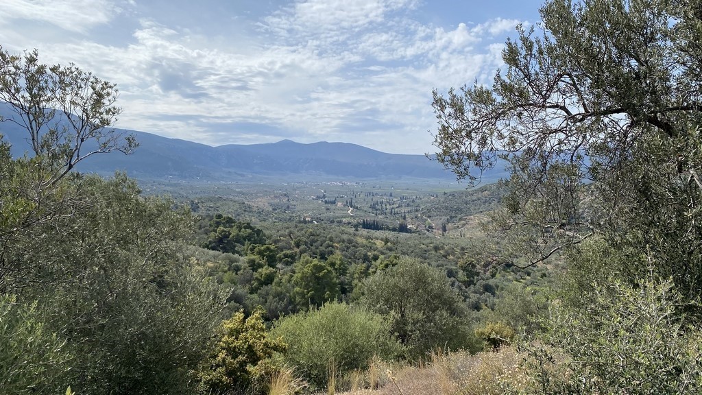 Οικόπεδο 27.382,77 τ.μ. προς πώληση, Νέα Επίδαυρος