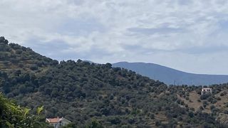 Οικόπεδο 27.382,77 τ.μ. προς πώληση, Νέα Επίδαυρος-thumb-1