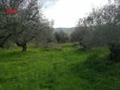 Οικόπεδο 1.062,27τ.μ. για πώληση-Βουκολιές