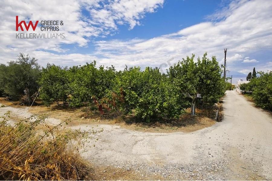 Οικόπεδο 600 τ.μ. προς πώληση, Λυκοποριά