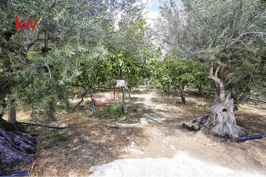 Οικόπεδο 600 τ.μ. προς πώληση, Λυκοποριά