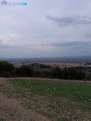 Αγροτεμάχια 13.000 τ.μ. για πώληση
