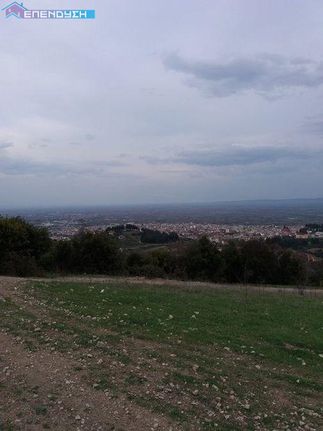 Αγροτεμάχια 13.000 τ.μ. για πώληση, Ημαθία, Βέροια
