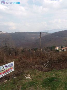 Land plot 4.000sqm for sale-Veroia