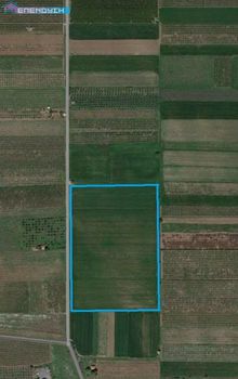 Parcel 43.000sqm for sale-Vergina