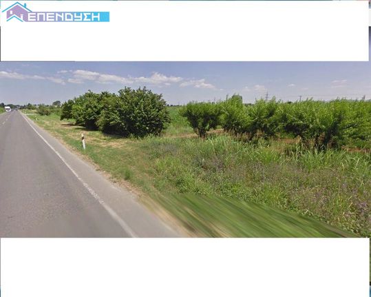 Αγροτεμάχια 5.000 τ.μ. για πώληση, Ημαθία, Απόστολος Παύλος