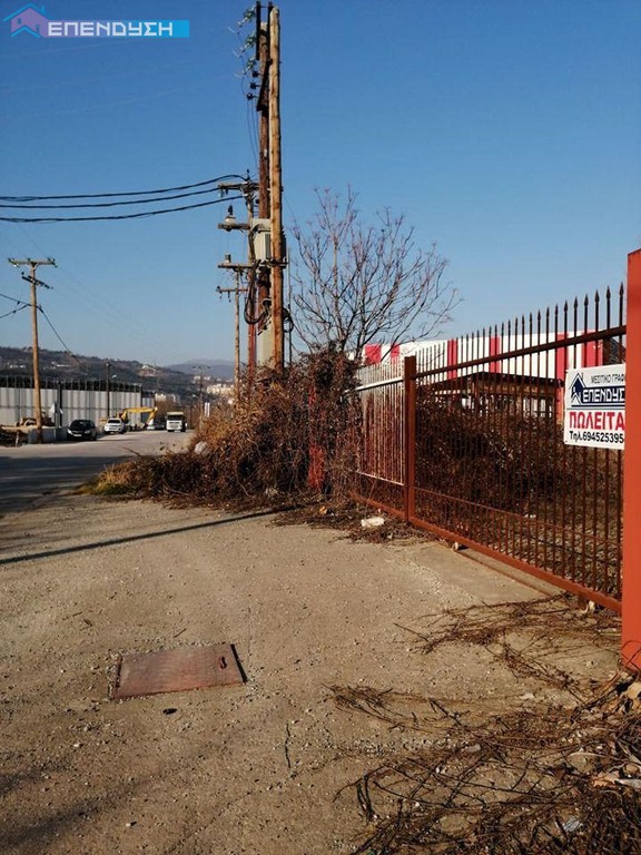 Αγροτεμάχια 6.500 τ.μ. για πώληση, Ημαθία, Βέροια
