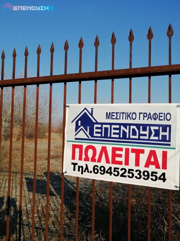 Αγροτεμάχια 6.500 τ.μ. πρός πώληση, Ημαθία, Βέροια