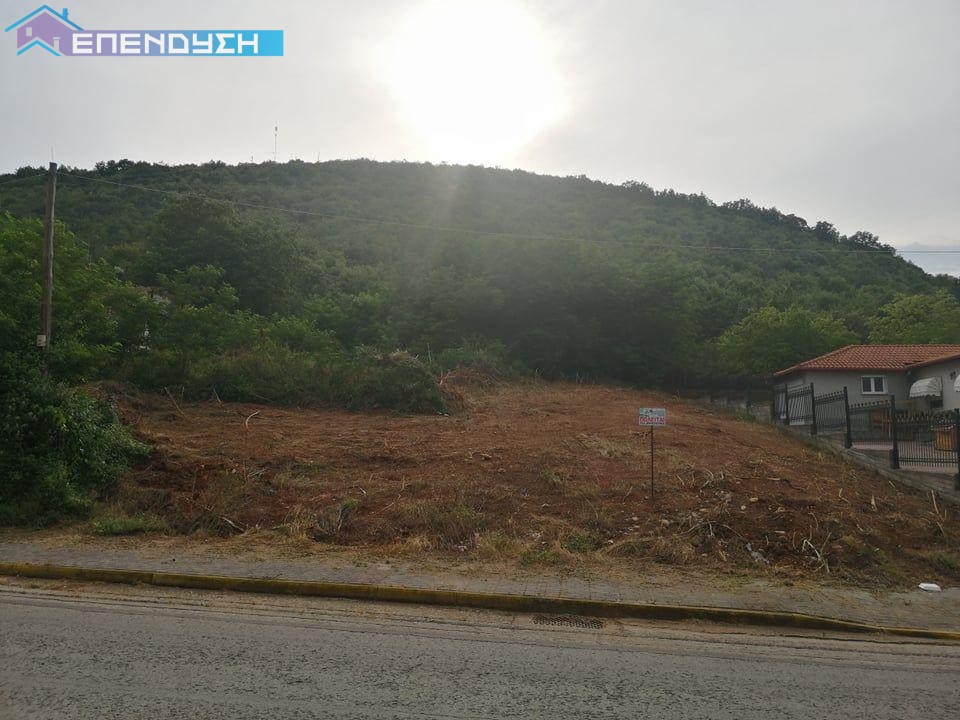 Οικόπεδο 701 τ.μ. προς πώληση, Γεωργιανοί