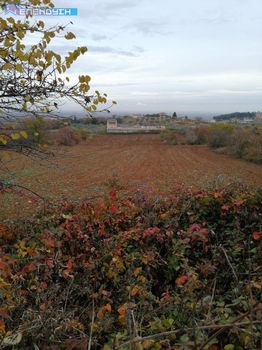 Parcel 11.000sqm for sale-Dovra