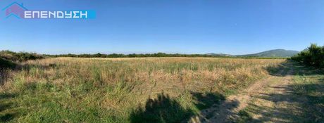Parcel 8.500sqm for sale-Vergina