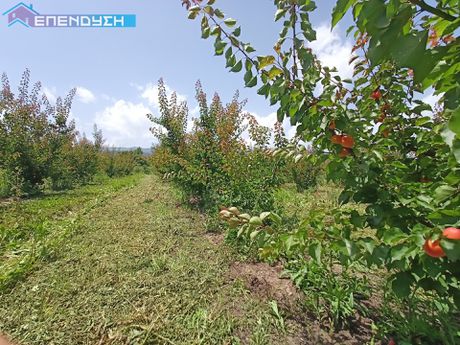 Parcel 19.542sqm for sale-Veroia