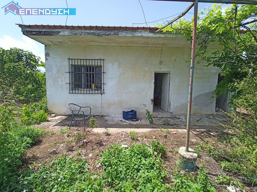 Αγροτεμάχια 19.542 τ.μ. προς πώληση, Λαζοχώρι