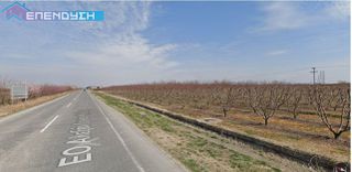 Αγροτεμάχια 8.500 τ.μ. για πώληση
