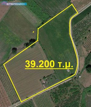 Parcel 39.200sqm for sale-Veroia