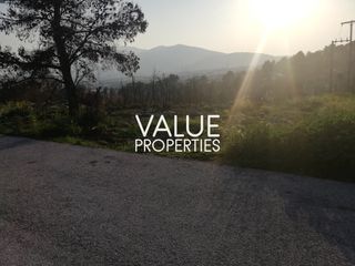 Αγροτεμάχια 200 τ.μ. για πώληση