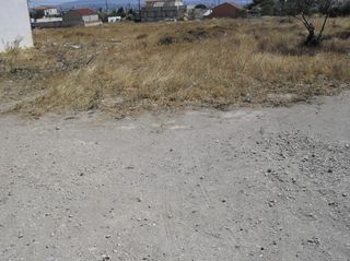 Αγροτεμάχια 450 τ.μ. για ενοικίαση