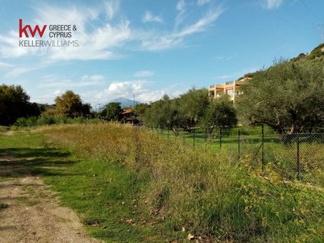 Οικόπεδο 6.693τ.μ. για ενοικίαση-Πάτρα